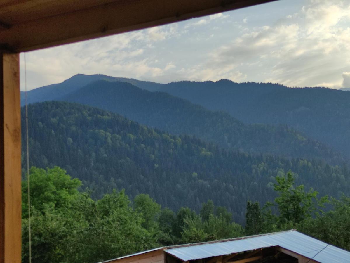 Ecohouse Svaneti Местия Екстериор снимка