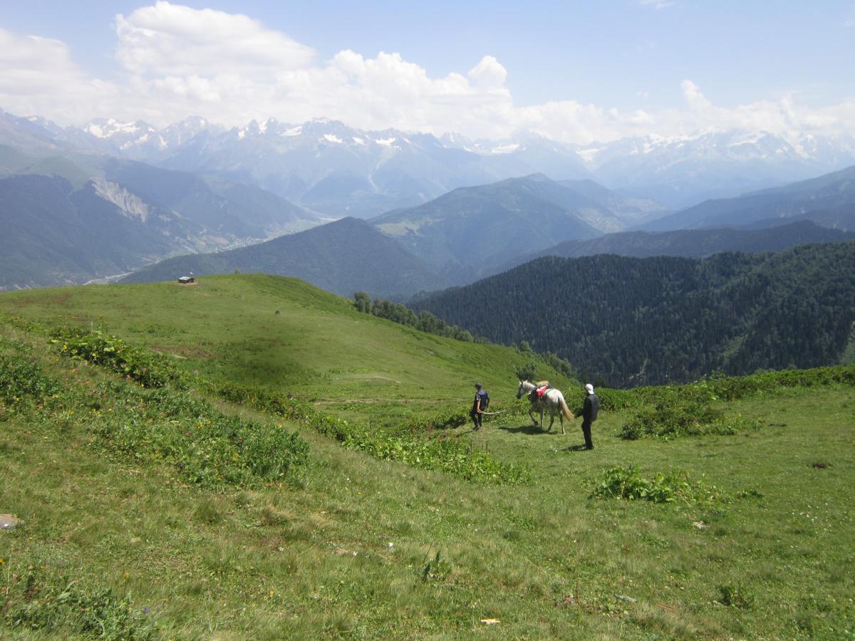 Ecohouse Svaneti Местия Екстериор снимка