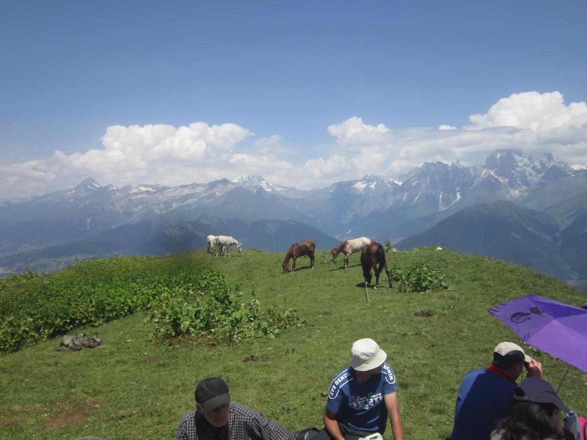 Ecohouse Svaneti Местия Екстериор снимка