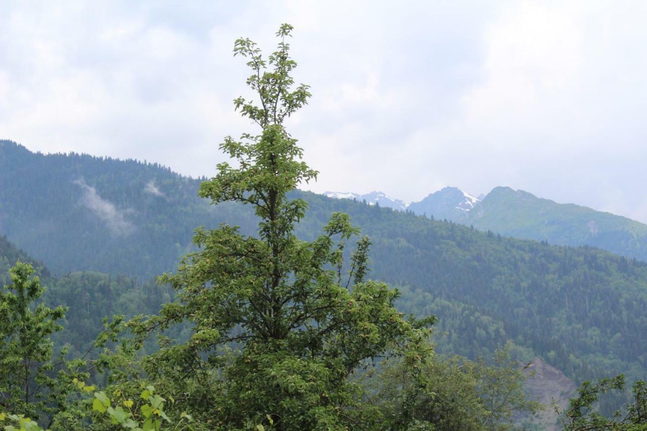 Ecohouse Svaneti Местия Екстериор снимка