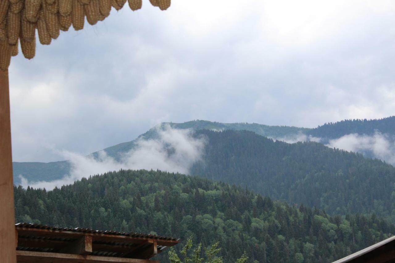 Ecohouse Svaneti Местия Екстериор снимка